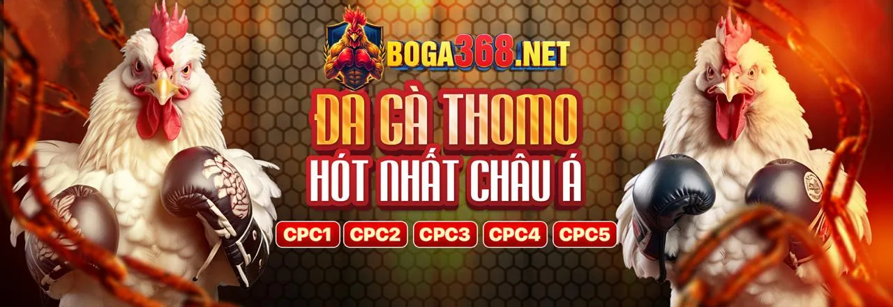 RR99 Bet đón đầu mùa giải thể thao 2026