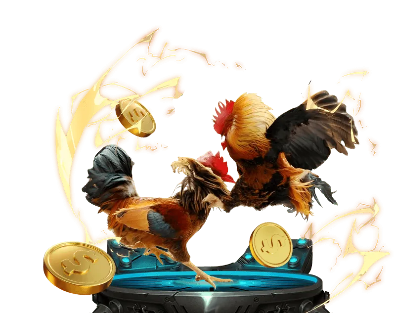 Trò chuyện trực tuyến rr99